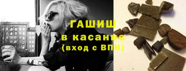 индика Бронницы