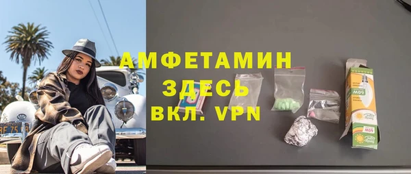 молекула духа Бородино