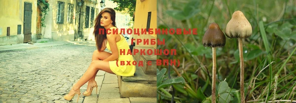 героин Богданович
