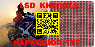 spice Балашиха