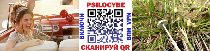Псилоцибиновые грибы мицелий  кракен рабочий сайт  Бор  купить наркоту 